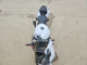 Suzuki GSXR750 2017 — Copart