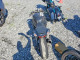 Suzuki GSXR750 2023 — Copart