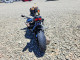 Suzuki GSXR750 2008 — Copart