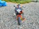 Suzuki GSXR750 2007 — Copart