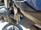 Suzuki SV650 2023 — Copart