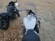 Suzuki VL800 M 2025 — Copart