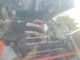 Tesla MODEL 3 2023 — Copart