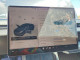 Tesla MODEL 3 2025 — Copart