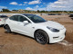 Tesla MODEL 3 2019 — Copart