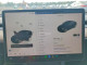 Tesla MODEL 3 2022 — Copart