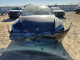 Tesla MODEL 3 2025 — Copart