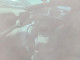 Tesla MODEL S 2021 — Copart