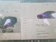 Tesla MODEL Y 2026 — Copart