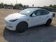 Tesla MODEL Y 2024 — Copart