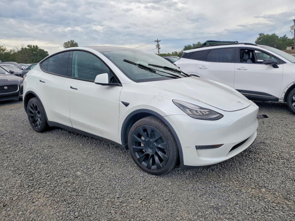 Tesla MODEL Y 2023 — Copart