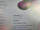 Tesla MODEL Y 2020 — Copart