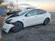 Tesla MODEL Y 2024 — Copart