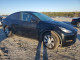 Tesla MODEL Y 2023 — Copart