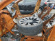 Tesla MODEL Y 2022 — Copart