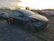 Tesla MODEL Y 2023 — Copart