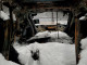 Toyota BZ4X 2023 — Copart