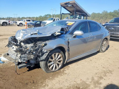 Toyota CAMRY 2019 — Copart