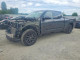 Toyota TUNDRA PLATINUM 2023 — Copart