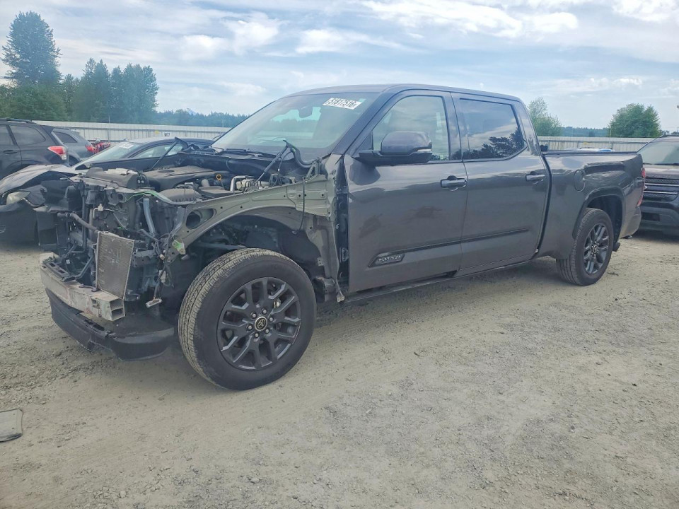 Toyota TUNDRA PLATINUM 2023 — Copart