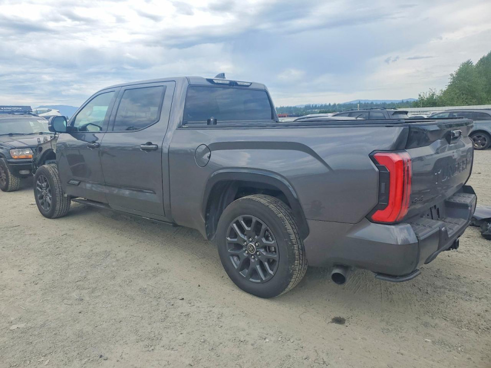 Toyota TUNDRA PLATINUM 2023 — Copart