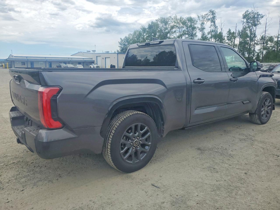 Toyota TUNDRA PLATINUM 2023 — Copart