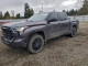Toyota TUNDRA 2024 — Copart