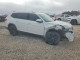 Volkswagen ATLAS 2019 — Copart