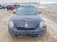 Volkswagen BEETLE 2013 — Copart