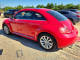 Volkswagen BEETLE 2013 — Copart
