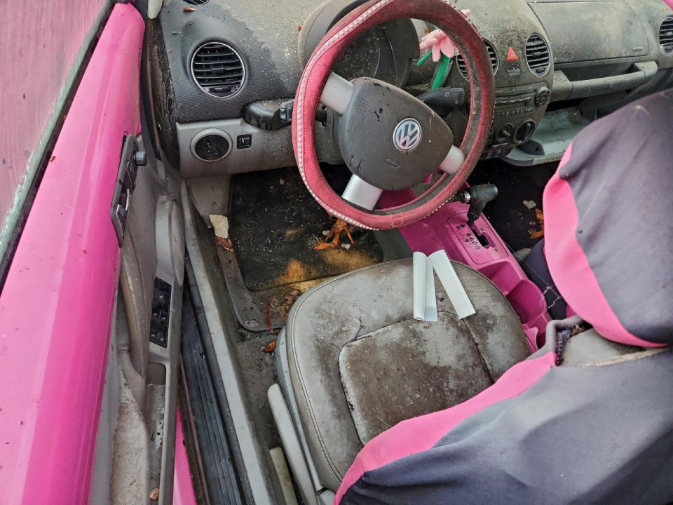 Volkswagen BEETLE 2004 — Copart