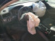 Volkswagen PASSAT 2014 — Copart