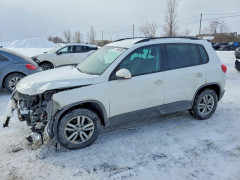 Volkswagen TIGUAN 2015 — Copart