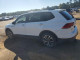 Volkswagen TIGUAN 2023 — Copart